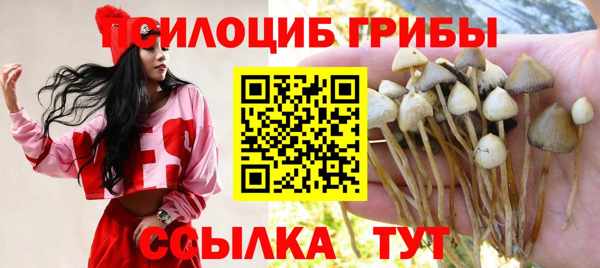 Галлюциногенные грибы мухоморы  Вход с VPN  Галлюциногенные грибы мухоморы  Соль-Илецк 